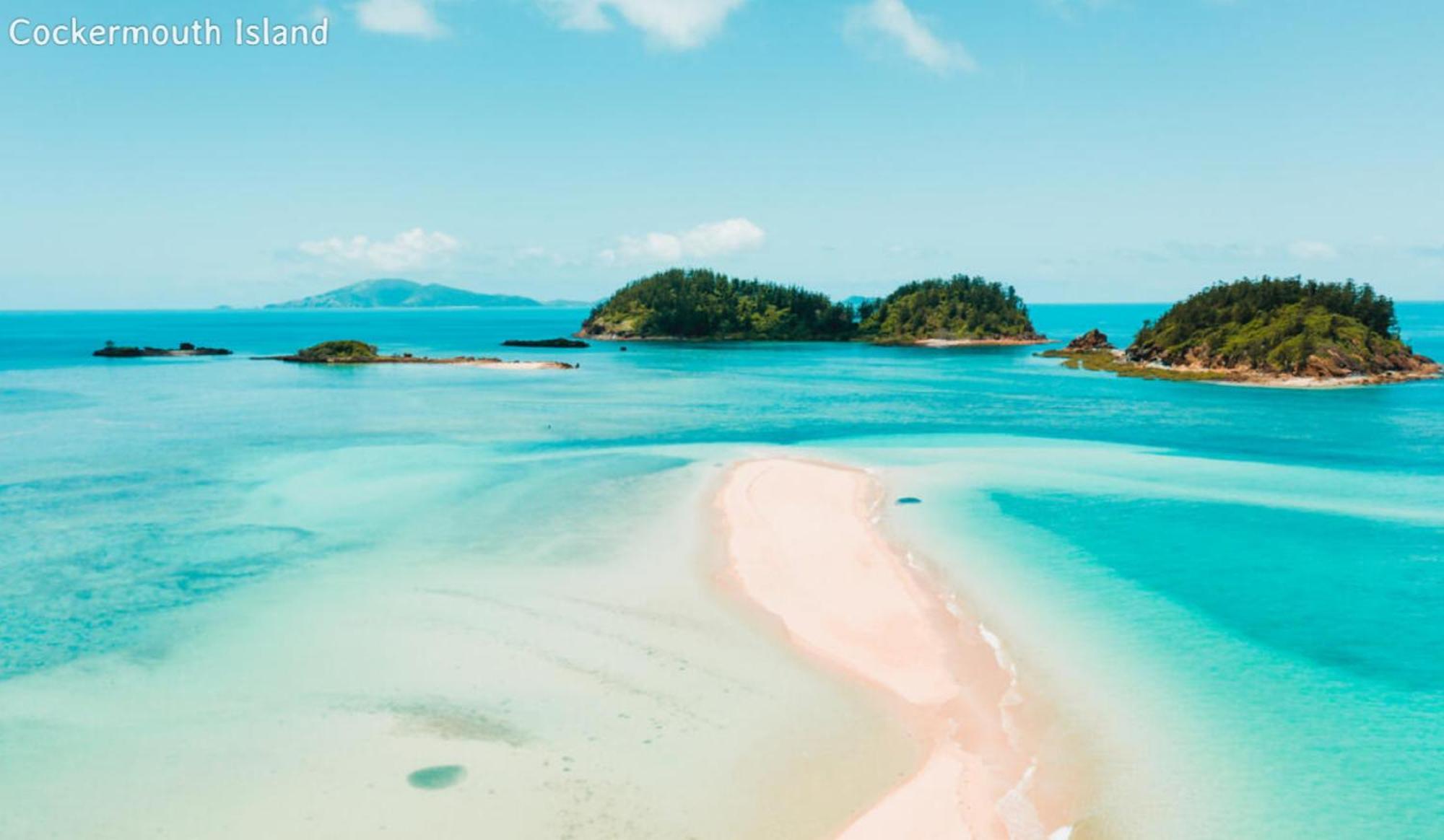 Dolphin Heads - Resort Unit - Absolute Beachfront! - Whitsunday Getaway! Mackay Extérieur photo